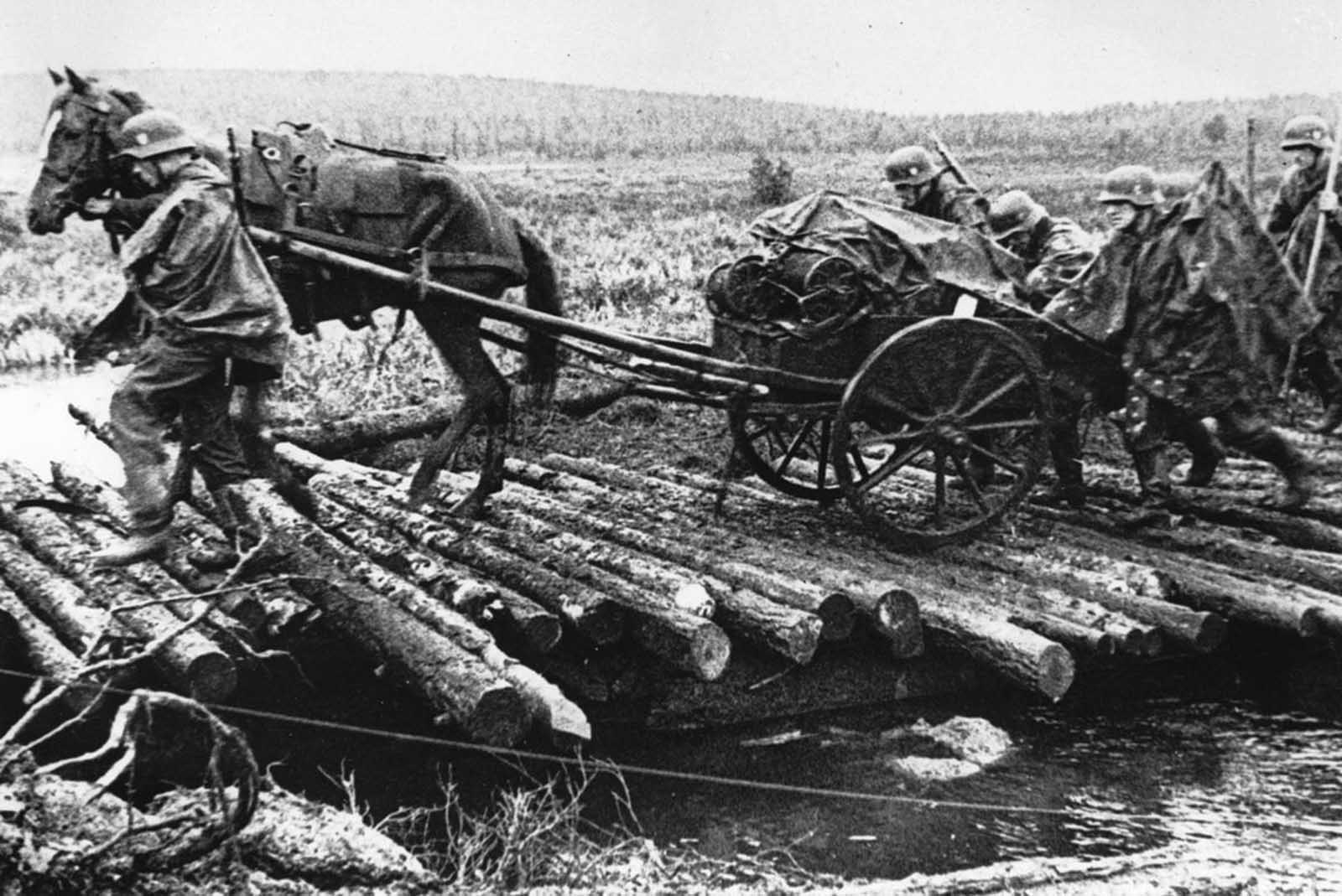 Гужевой транспорт РККА В ВОВ 1941-1945 гг